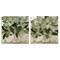 Stupell Industries Modern Earth Tone Bouquets 2pc Canvas Set By Carol Robinson